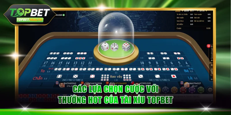 Các lựa chọn cược với thưởng hot của tài xỉu TOPBET