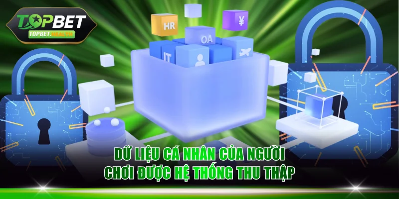 Dữ liệu cá nhân của người chơi được hệ thống thu thập