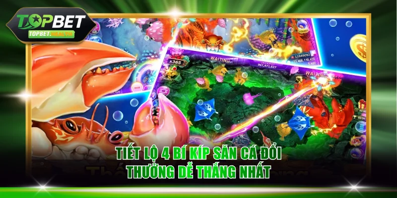 Tiết lộ 4 bí kíp săn cá đổi thưởng dễ thắng nhất